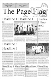 Newspaper Design
