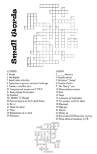 Crossword Puzzle # 22