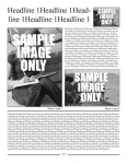 Newsletter templates free